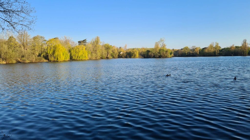 Orchid Lakes – Fishing pond in Dorchester, England